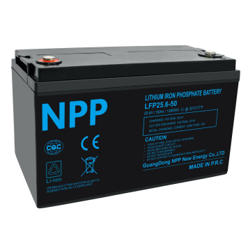 Аккумулятор NPP LiFePO4 25.6 V, 100 Ah (100A)